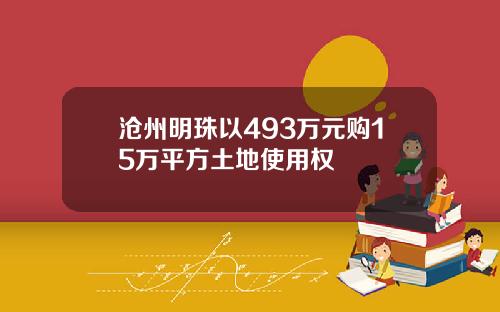 沧州明珠以493万元购15万平方土地使用权