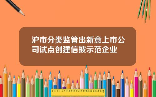 沪市分类监管出新意上市公司试点创建信披示范企业