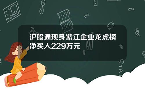 沪股通现身紫江企业龙虎榜净买入229万元