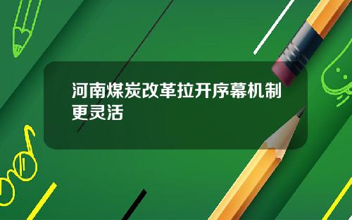 河南煤炭改革拉开序幕机制更灵活