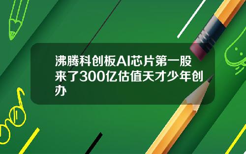 沸腾科创板AI芯片第一股来了300亿估值天才少年创办