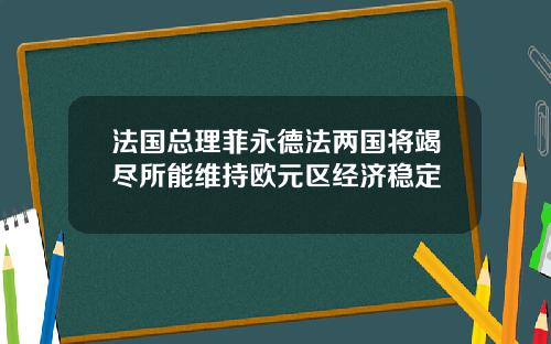 法国总理菲永德法两国将竭尽所能维持欧元区经济稳定