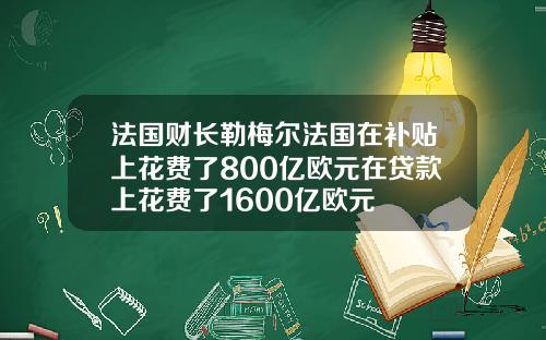 法国财长勒梅尔法国在补贴上花费了800亿欧元在贷款上花费了1600亿欧元