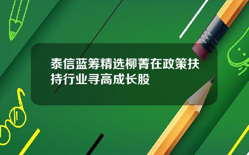 泰信蓝筹精选柳菁在政策扶持行业寻高成长股