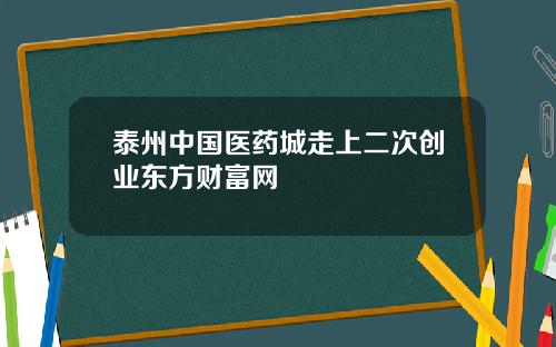 泰州中国医药城走上二次创业东方财富网