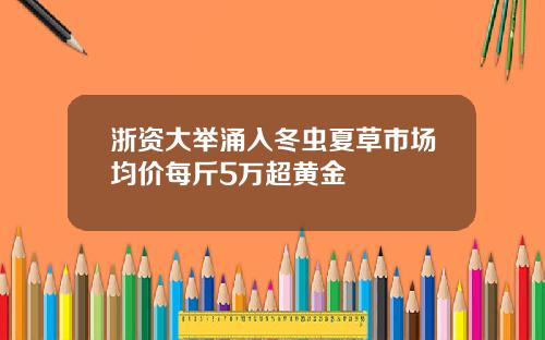 浙资大举涌入冬虫夏草市场均价每斤5万超黄金