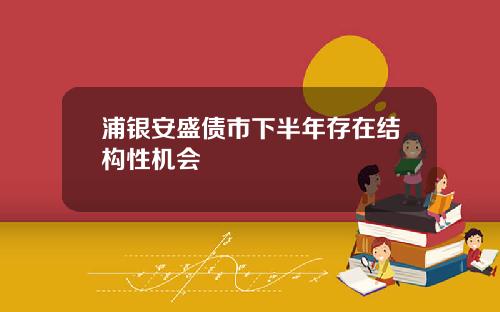 浦银安盛债市下半年存在结构性机会
