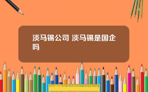 淡马锡公司 淡马锡是国企吗