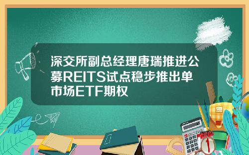 深交所副总经理唐瑞推进公募REITS试点稳步推出单市场ETF期权