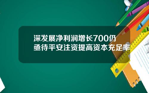 深发展净利润增长700仍亟待平安注资提高资本充足率