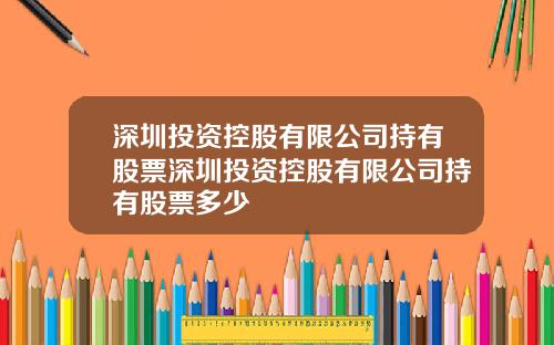 深圳投资控股有限公司持有股票深圳投资控股有限公司持有股票多少