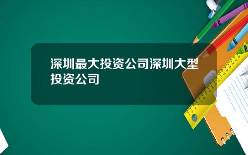 深圳最大投资公司深圳大型投资公司