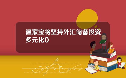 温家宝将坚持外汇储备投资多元化0