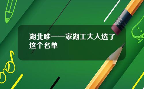 湖北唯一一家湖工大入选了这个名单