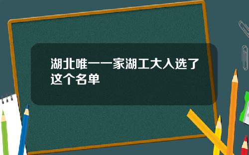 湖北唯一一家湖工大入选了这个名单