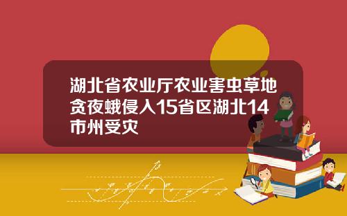 湖北省农业厅农业害虫草地贪夜蛾侵入15省区湖北14市州受灾