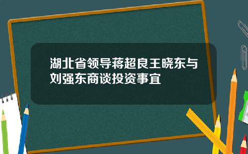湖北省领导蒋超良王晓东与刘强东商谈投资事宜