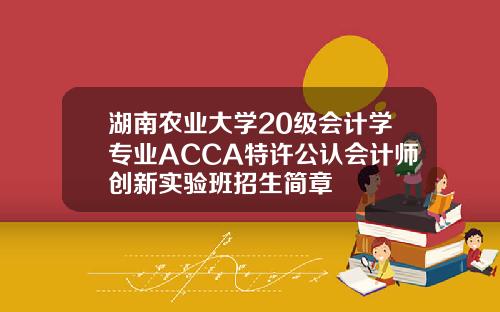 湖南农业大学20级会计学专业ACCA特许公认会计师创新实验班招生简章