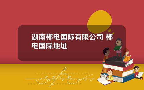 湖南郴电国际有限公司 郴电国际地址