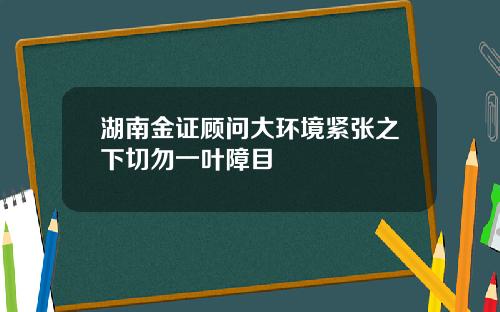 湖南金证顾问大环境紧张之下切勿一叶障目