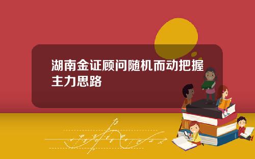 湖南金证顾问随机而动把握主力思路