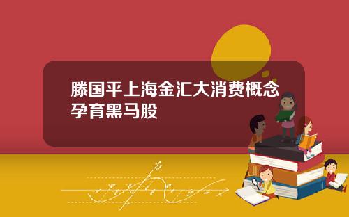 滕国平上海金汇大消费概念孕育黑马股