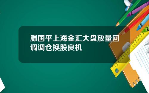 滕国平上海金汇大盘放量回调调仓换股良机