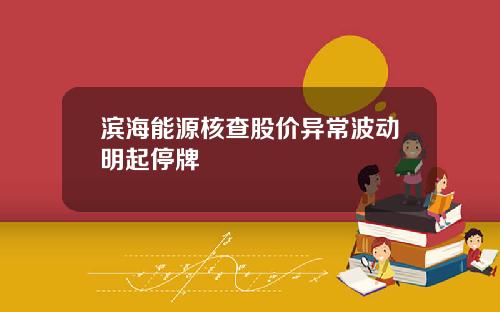 滨海能源核查股价异常波动明起停牌