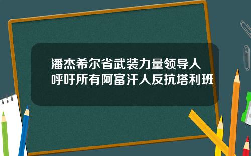 潘杰希尔省武装力量领导人呼吁所有阿富汗人反抗塔利班