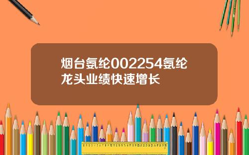 烟台氨纶002254氨纶龙头业绩快速增长