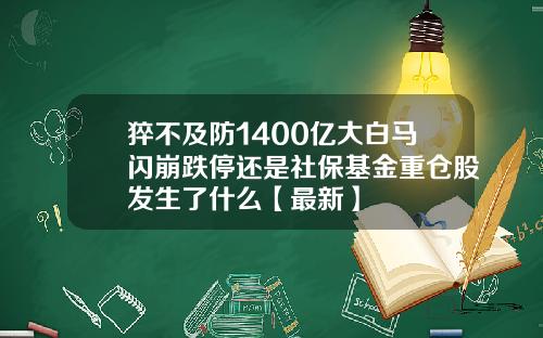 猝不及防1400亿大白马闪崩跌停还是社保基金重仓股发生了什么【最新】