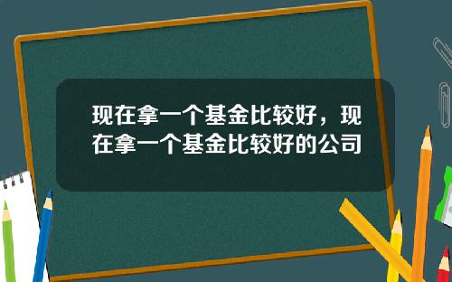 现在拿一个基金比较好，现在拿一个基金比较好的公司