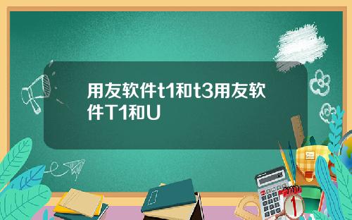 用友软件t1和t3用友软件T1和U