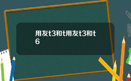 用友t3和t用友t3和t6