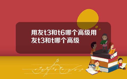 用友t3和t6哪个高级用友t3和t哪个高级