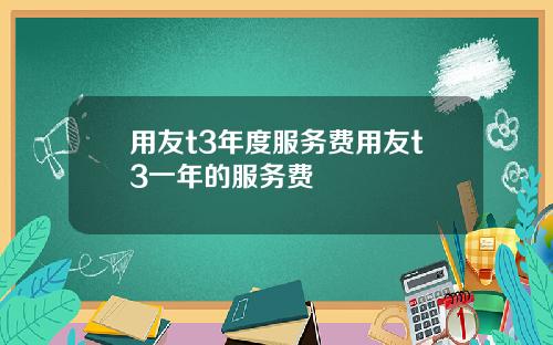 用友t3年度服务费用友t3一年的服务费