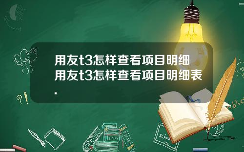 用友t3怎样查看项目明细用友t3怎样查看项目明细表.