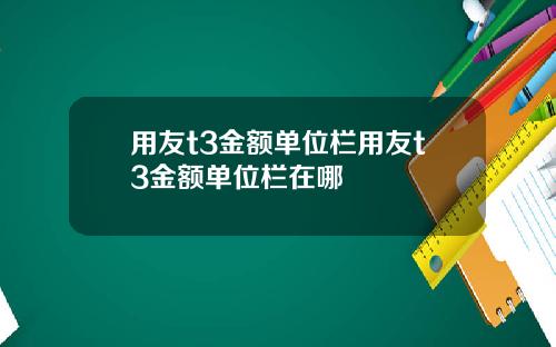 用友t3金额单位栏用友t3金额单位栏在哪