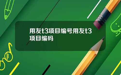 用友t3项目编号用友t3项目编码