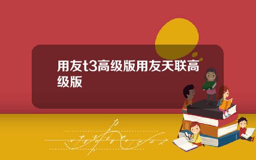用友t3高级版用友天联高级版
