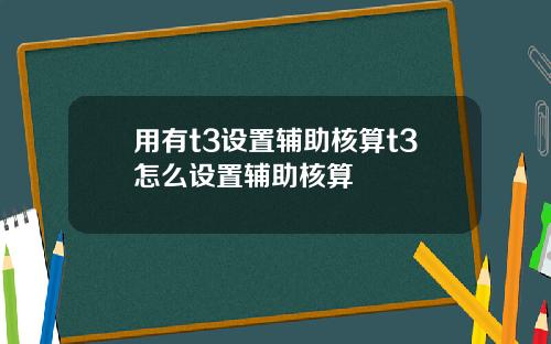 用有t3设置辅助核算t3怎么设置辅助核算