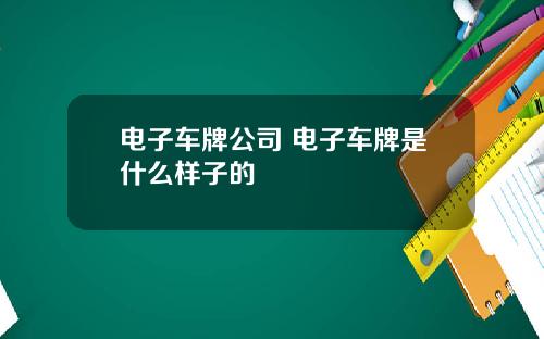 电子车牌公司 电子车牌是什么样子的