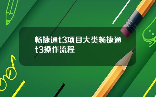 畅捷通t3项目大类畅捷通t3操作流程
