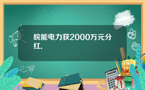 皖能电力获2000万元分红.