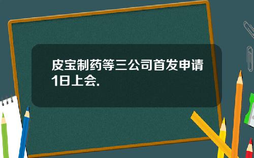 皮宝制药等三公司首发申请1日上会.