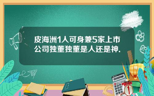 皮海洲1人可身兼5家上市公司独董独董是人还是神.