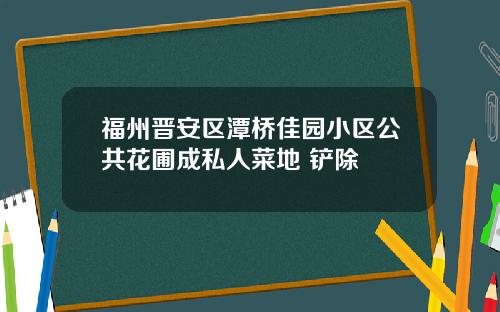 福州晋安区潭桥佳园小区公共花圃成私人菜地 铲除