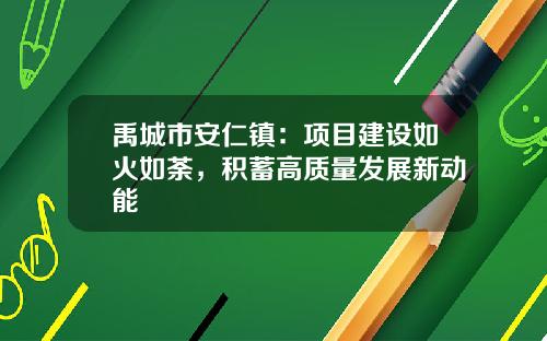 禹城市安仁镇：项目建设如火如荼，积蓄高质量发展新动能
