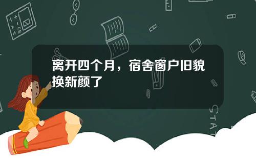 离开四个月，宿舍窗户旧貌换新颜了