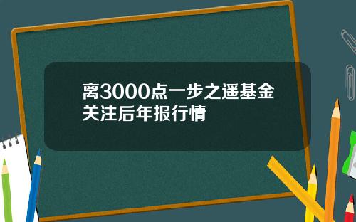 离3000点一步之遥基金关注后年报行情